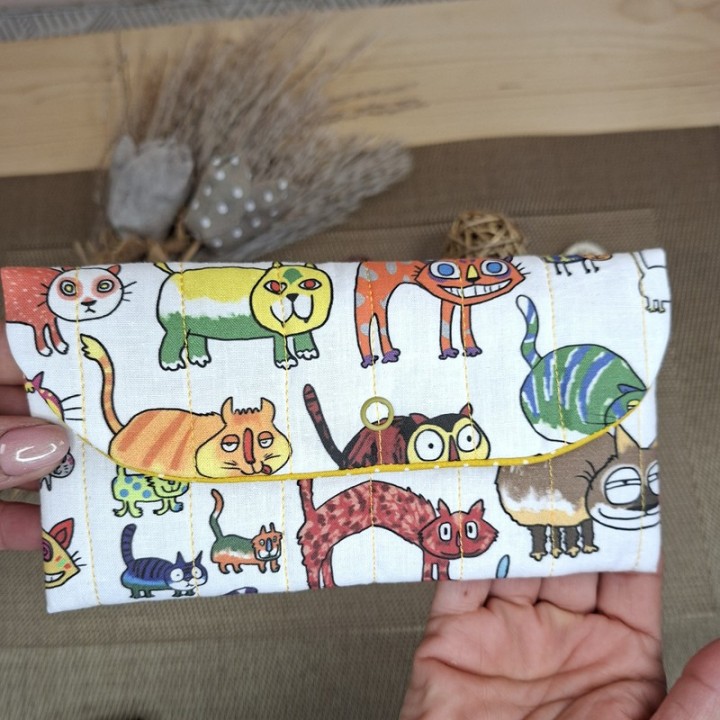 Porta Occhiali Gatti Matti